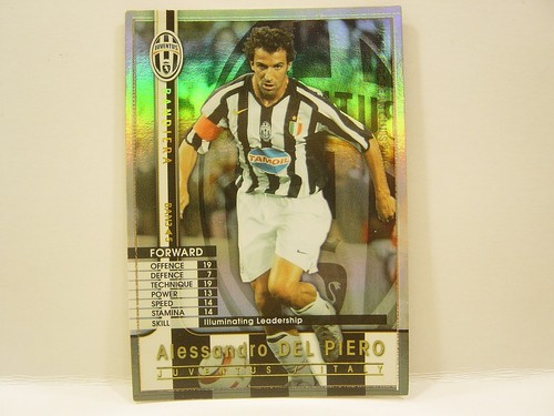 Panini wccf 2005 - panini, ban