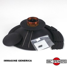 B&C Speakers 10/040-8 Kit