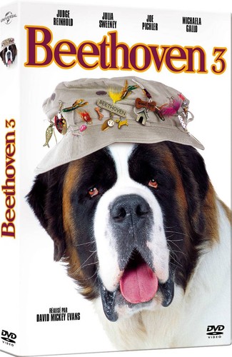 Beethoven dvd - 3,
