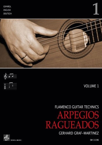 Flamenco guitar technics - guitar,