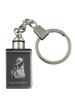 Cane Pastore Bergamasco -