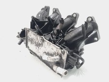 Collettore aspirazione benzina