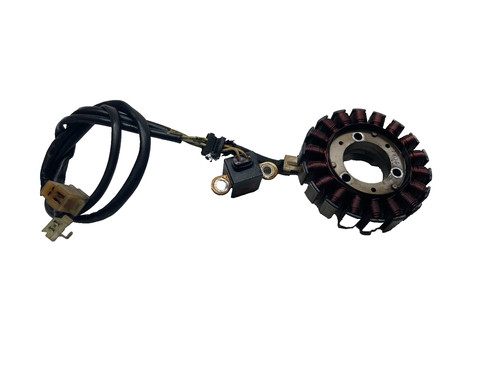 Statore alternatore magnete - statore,