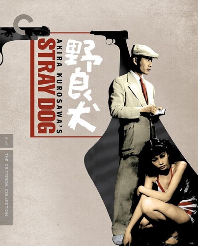 Stray dog criterion - stray,