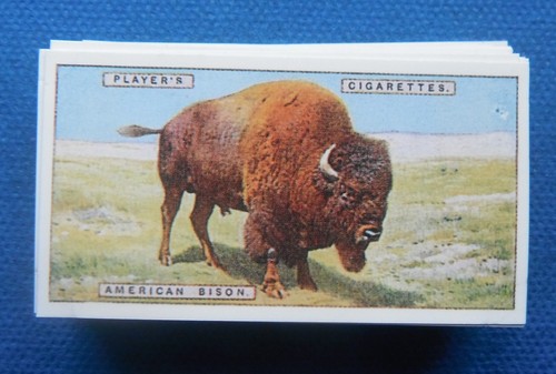 Regno animale collezione - il, di