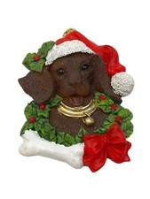 Chocolate Labrador Retriever