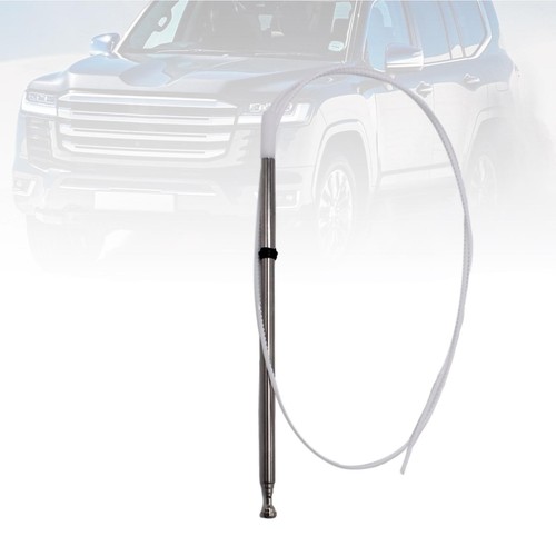 Antenna per auto elettrica