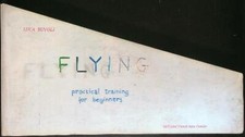 FLYING BUVOLI LUCA MIT LIST VISUAL ARTS CENTER 2000 