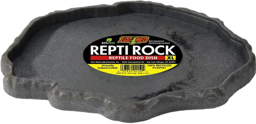 Repti rock ciotola - repti,