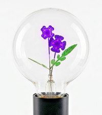 Lampada a incandescenza al