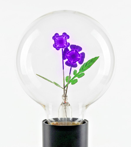 Lampada incandescenza al - lampada, a
