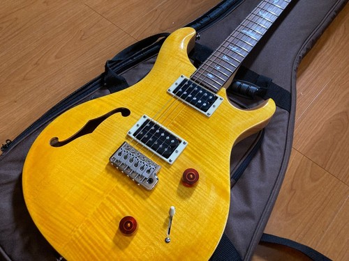 Chitarra prs custom 22 - chitarra,