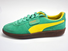 Puma Palermo/Camoscio/Archivio