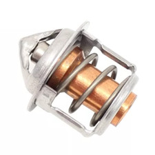 Mini Escavatore Termostato per