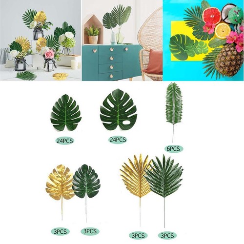 Kit piante foglie di - piante,