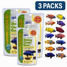 Miglior Ciclide Pesce