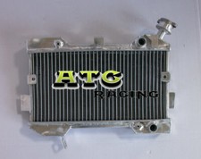 Radiatore in alluminio Race