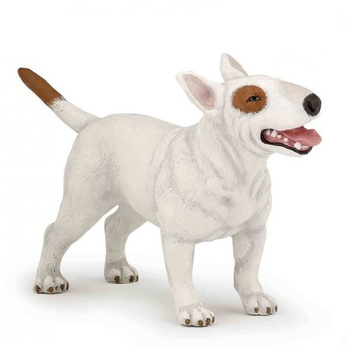 Bull terrier cane - cane, ritirato