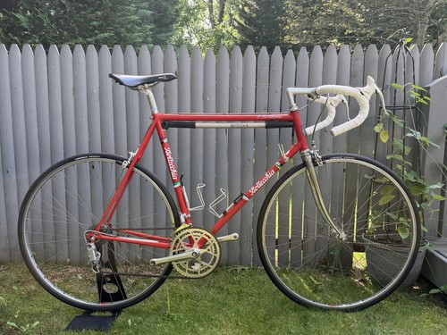 Bottecchia competizione steel - competizione,