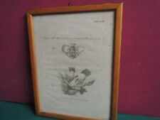 ANTICA STAMPA  800 - GINECOLOGIA OSTETRICIA PARTO DONNA NEONATO MEDICINA QUADRO