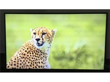 Philips 55" 4K UHD Commercial