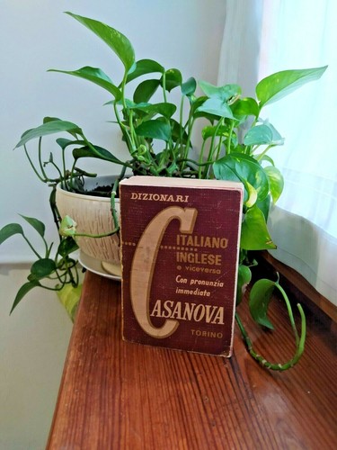 Dizionari casanova italiano - dizionari,