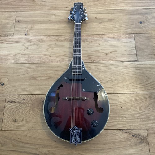 Mandolino elettrico acustico