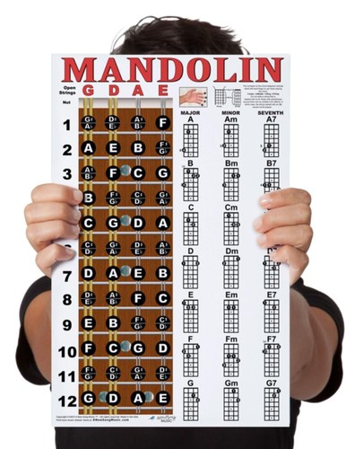 Poster mandolino laminato - poster,