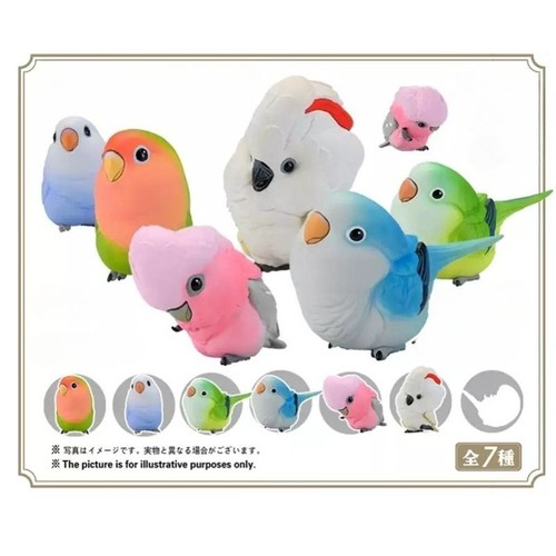 Animal planet laugh and grow - animal,