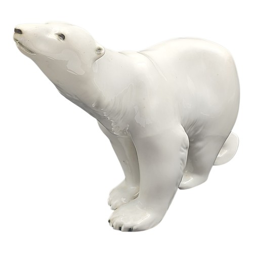 Orso polare porcellana - porcellana, royal