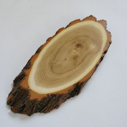 Pezzo acacia trofeo di - pezzo,