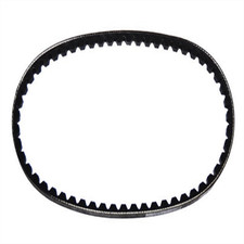 1410982 CINGHIA SERVIZI