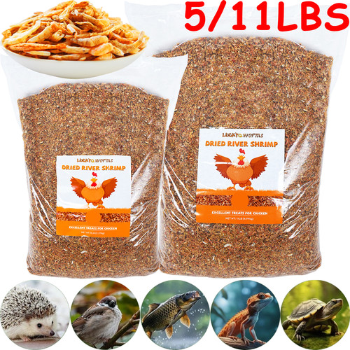 11lbs cibo essiccato per - cibo,
