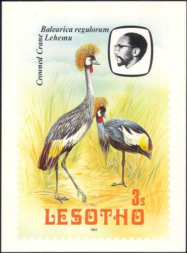 Cartolina lesotho 1982 - cartolina,