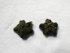 Coppia stellette canuttiglia - coppia,