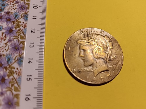 Dollaro della pace - dollaro,