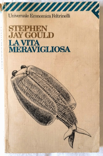 Vita meravigliosa stephen - la,
