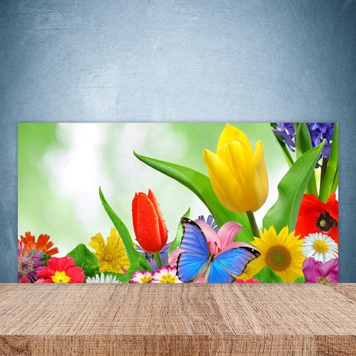 Splashback paraschizzi - splashback,