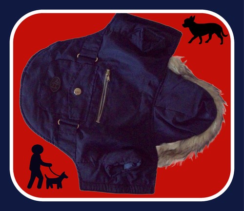 Xsmall american dog outfitter - dog,