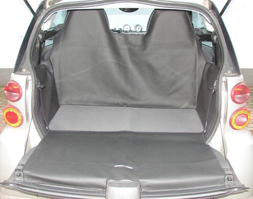 Protezione cofano smart - smart, 451