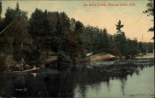 Stoney lake ontario eel - lake, eel's