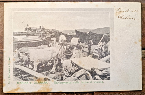 1902 marina carrara in - marina,
