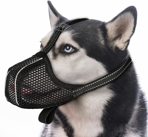 Comfort controllo - 🐕, &