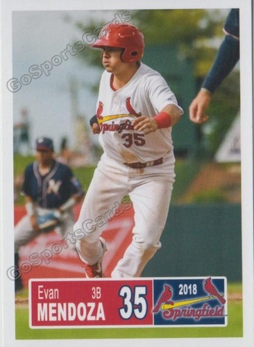 Springfield cardinals 2018 - cardinals,