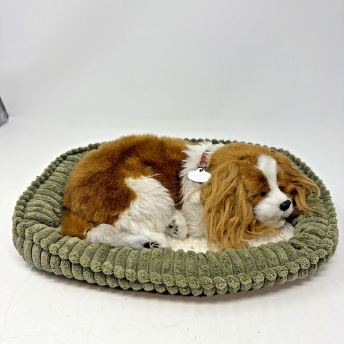 Petzzz perfetto respirazione - petzzz,