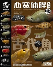 Animal Planet's cuore largo e grasso corporeo dodici pesci antichi modello pesce drago