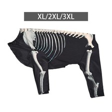 Abbigliamento per costumi da