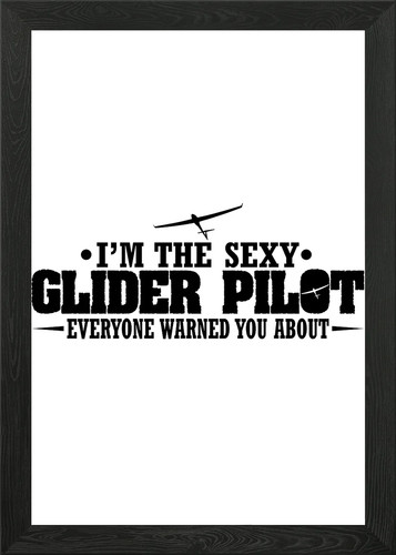 Glider pilot gliding - pilot, gift