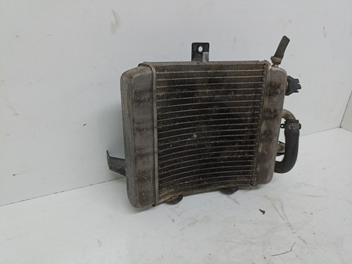 Radiatore aprilia scarabeo - scarabeo, 150