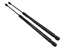 Portellone 2 Pezzo per Ford